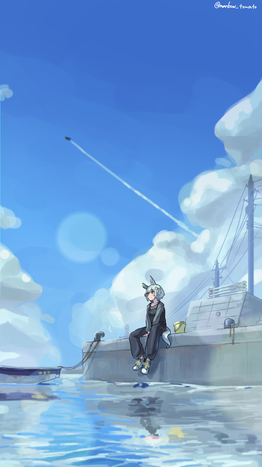 1girl aircraft airplane animal_ears blue_eyes blue_sky bucket closed_mouth cloud cloudy_sky commentary_request dock ear_covers grey_hair hair_ornament hairclip highres horse_ears horse_girl horse_tail jet lens_flare marbow_tomato ocean outdoors overalls reflection reflective_water seiun_sky_(umamusume) shoes short_hair single_ear_cover sitting sky smile sneakers solo tail umamusume utility_pole water white_shoes