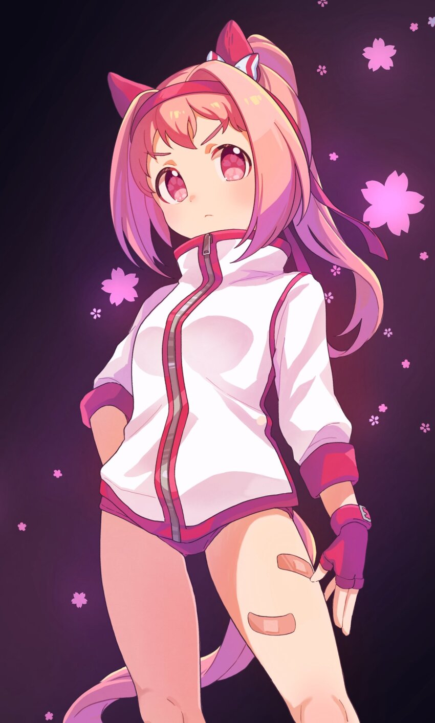 1girl animal_ears bandaid bandaid_on_leg blush closed_mouth commentary cowboy_shot ear_covers fingerless_gloves gloves hairband haru_urara_(umamusume) highres horse_ears horse_girl horse_tail jacket long_hair long_sleeves looking_at_viewer moko39_takasora pink_hair ponytail purple_background red_eyes red_gloves red_hairband solo symbol-only_commentary tail track_jacket umamusume white_jacket