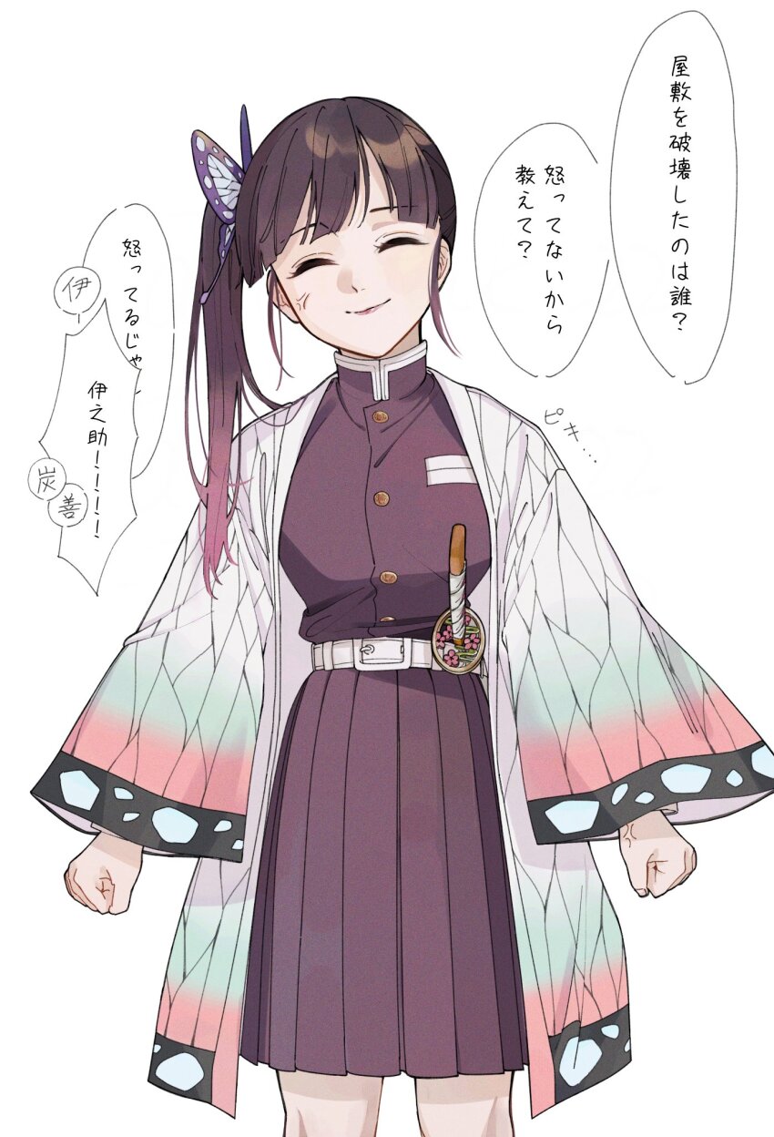 1girl animal_print belt bug butterfly butterfly_hair_ornament butterfly_print cape checkered_haori demon_slayer_uniform hair_ornament haori highres insect japanese_clothes kimetsu_no_yaiba solo tsuyuri_kanao u_take22 white_belt white_cape