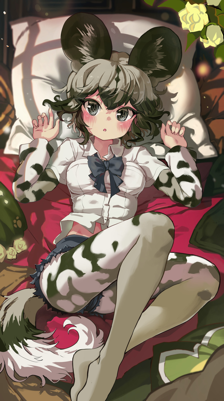 1girl absurdres african_wild_dog_(kemono_friends) animal_ears animal_print black_hair blush bow bowtie breasts dog_ears dog_tail gloves highres kemono_friends long_sleeves looking_at_viewer lying medium_breasts melaton multicolored_hair on_back on_bed open_mouth shirt short_hair short_sleeves shorts solo tail