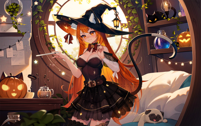 1girl animal_ears bandaged_arm bandaged_tail bandages bed bell belt black_cat black_choker black_dress black_hat black_sleeves blush bow bowtie breasts bubble_tea candle candlestand cat cat_ears cat_girl cat_tail choker cleavage clip_studio_paint_(medium) closed_mouth commentary commission cowboy_shot day detached_sleeves dress ears_through_headwear english_commentary hat hat_bow hat_lantern highres holding holding_wand hyanna-natsu indoors ivy jack-o&#039;-lantern long_hair looking_at_food magic neck_bell orange_eyes orange_hair original photoshop_(medium) pillow potion pug red_bow red_bowtie round_window saliva shelf sky sleeping_animal solo sparkle star_(symbol) strapless strapless_dress string_of_light_bulbs sunlight tail thighhighs very_long_hair wand white_sky window witch witch_hat zettai_ryouiki