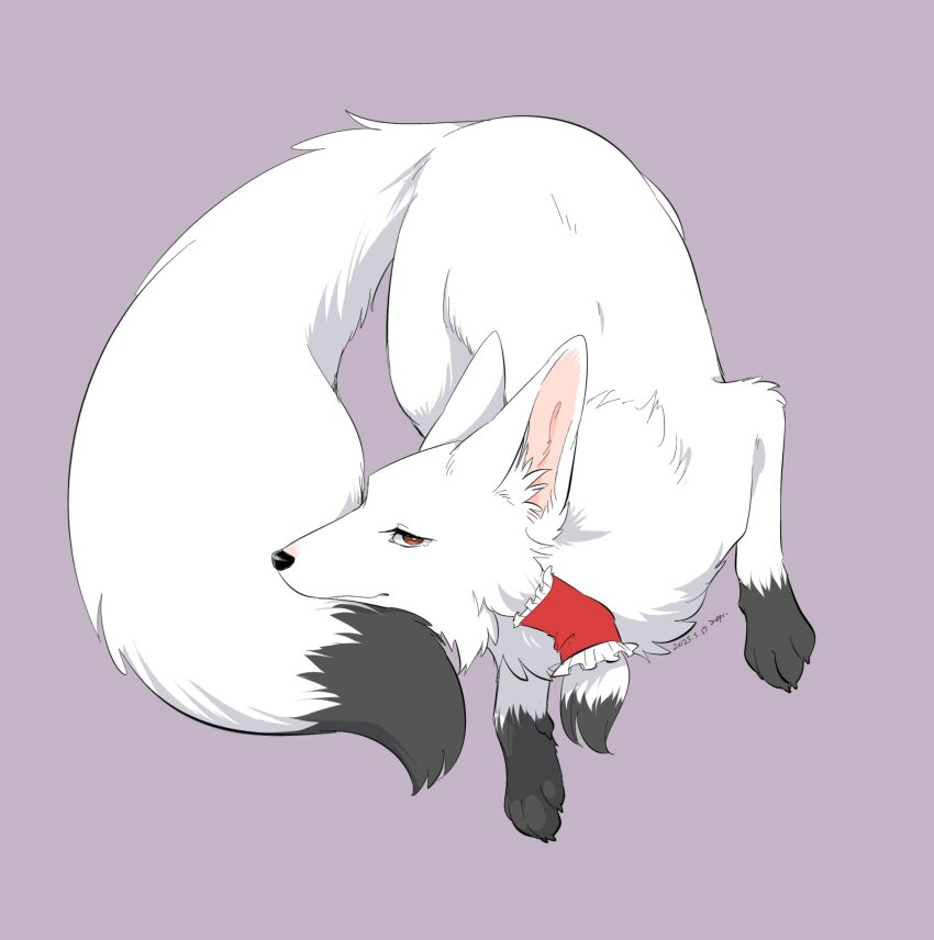 animal animal_ear_fluff animal_ears animal_focus animalization closed_mouth commentary_request dated fox fox_ears frilled_hair_tubes frills hair_tubes hakurei_reimu hakurei_reimu_(fox) highres looking_at_viewer min.k no_humans purple_background red_eyes signature simple_background smile tail touhou white_fur
