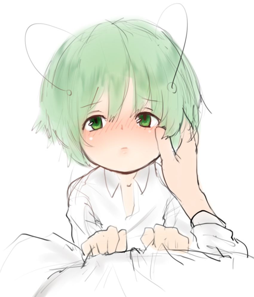 1boy 1girl antennae blush collared_shirt commentary_request green_eyes green_hair highres looking_at_viewer pov shirt short_hair simple_background solo_focus touhou unimamo upper_body white_background white_shirt wriggle_nightbug