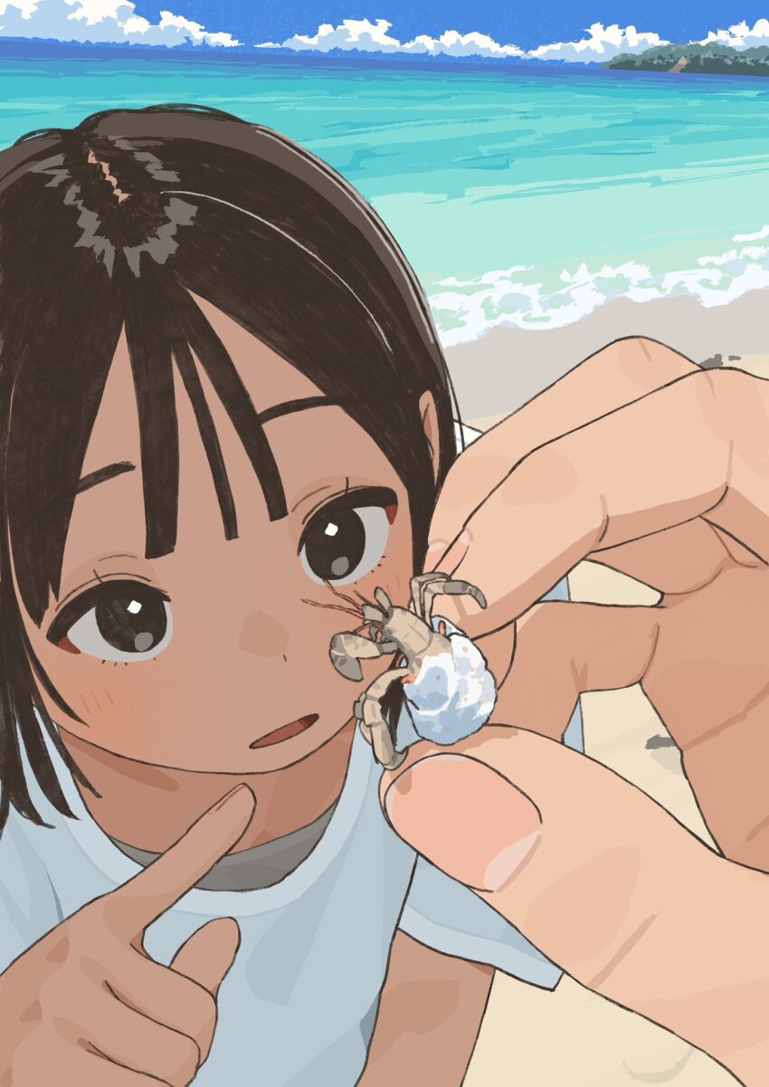 1girl 1other animal beach black_hair blue_sky brown_eyes center-flap_bangs close-up day fingernails hermit_crab highres holding holding_animal looking_at_animal mashiro_ka ocean original pointing shirt sky white_shirt