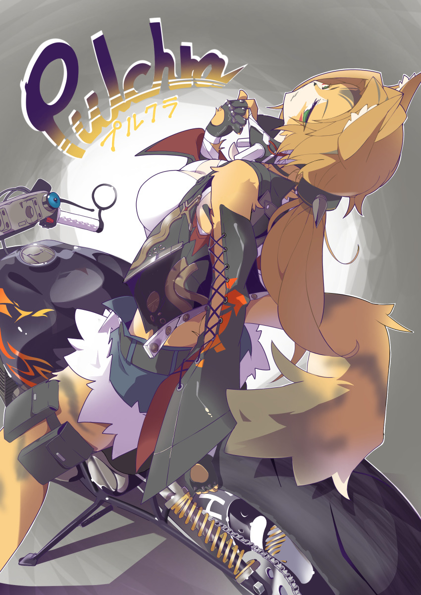 1girl absurdres animal_ear_fluff animal_ears black_gloves black_jacket blue_shorts breasts cat_ears cat_girl cat_tail character_name cleavage closed_mouth fingerless_gloves furry furry_female gloves green_eyes highres jacket large_breasts long_hair looking_at_viewer motor_vehicle motorcycle on_motorcycle ponytail pulchra_fellini shirt short_shorts shorts smile solo tail thigh_strap ura_ura_(ktke5457) white_shirt zenless_zone_zero