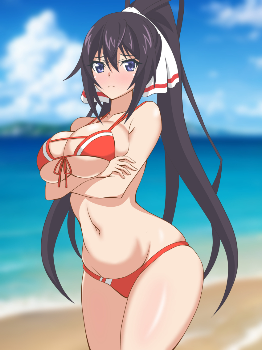 1girl arms_under_breasts bare_arms beach bikini black_hair blue_eyes blue_sky blurry blurry_background blush breasts cleavage closed_mouth cloud collarbone commentary_request day hair_between_eyes hata_(pixiv10403940) highres infinite_stratos large_breasts long_hair looking_at_viewer navel ocean outdoors ponytail red_bikini shinonono_houki sidelocks sky solo standing swimsuit very_long_hair