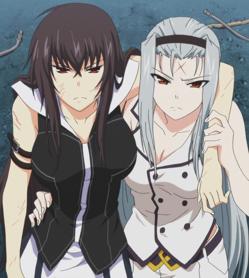 2girls angry anime_screenshot breasts brown_eyes brown_hair cleavage female_focus highres kawakami_momoyo kuki_ageha large_breasts long_hair looking_at_viewer maji_de_watashi_ni_koi_shinasai! multiple_girls red_eyes scar silver_hair stitched third-party_edit