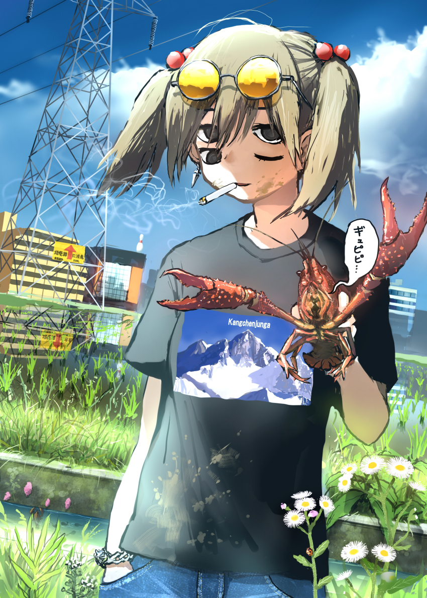 1girl absurdres animal black_eyes black_shirt blue_sky borrowed_character bracelet building canal chain cigarette city cloud cloudy_sky commentary cowboy_shot crayfish dandelion day denim extra_eyes eyewear_on_head field flower giba_ryan green_hair hair_between_eyes hair_bobbles hair_ornament hand_in_pocket highres holding holding_animal jeans jewelry looking_at_another looking_at_viewer medium_hair mountain mud one_eye_closed original outdoors pants power_lines print_shirt rice_paddy round_eyewear shirt short_twintails sky smile smoke smoking solo stain sunglasses t-shirt tinted_eyewear transmission_tower twintails weeds yomeko_(koiso)
