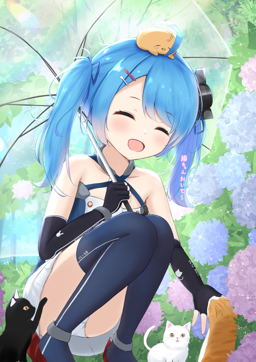 1girl absurdres animal_print azur_lane bare_shoulders black_gloves blue_hair blush boots buttons cat cat_hair_ornament cat_print closed_eyes day double-breasted dress elbow_gloves fingerless_gloves full_body gloves hair_ornament hair_over_one_eye hairclip hand_up happy headgear highres holding holding_umbrella knees_to_chest knees_together_feet_apart legs lena_(azur_lane) long_hair outdoors paashe panties pantyshot patting rabbit_hair_ornament rabbit_print sleeveless sleeveless_dress solo squatting thigh_boots thighs translation_request twintails umbrella underwear upskirt white_panties
