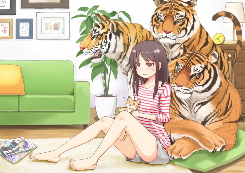 1girl :3 ? barefoot brown_eyes brown_hair cat couch feet female_focus green_upholstery indoors legs long_hair magazine_(object) original pillow shirt shorts sitting solo striped_clothes striped_shirt sweatdrop tiger toe_scrunch toes umino_hotate wavy_mouth