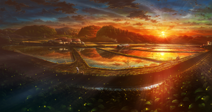 1boy 1girl bicycle bird cloud commentary_request dog evening field fireflies forest grass highres hill house kashi_takahisa landscape leaf light_rays nature original outdoors perspective power_lines reflection reflective_water rice_paddy road rural scenery sky sparkle sun sunbeam sunlight sunset utility_pole