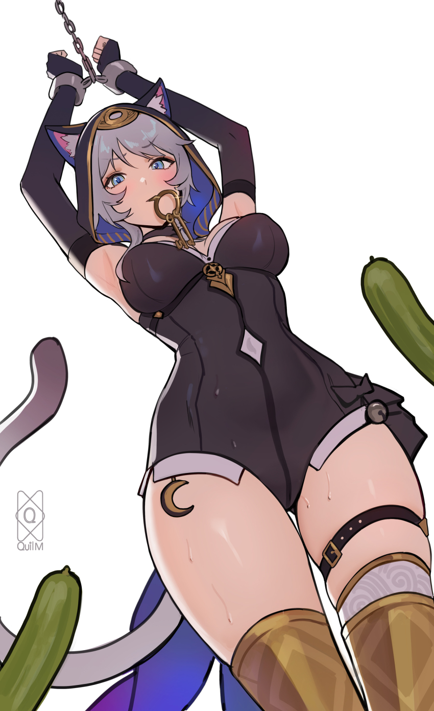 1girl absurdres animal_ear_fluff animal_ears bell black_dress blue_eyes bound bound_wrists breasts cat_ears cat_tail cipher_(honkai:_star_rail) clothing_cutout commentary covered_navel cucumber detached_sleeves dress english_commentary grey_fur grey_hair highres honkai:_star_rail honkai_(series) jingle_bell key key_in_mouth large_breasts long_hair long_sleeves looking_at_another navel_cutout quilm restrained simple_background solo sweat tail thigh_strap thighhighs white_background