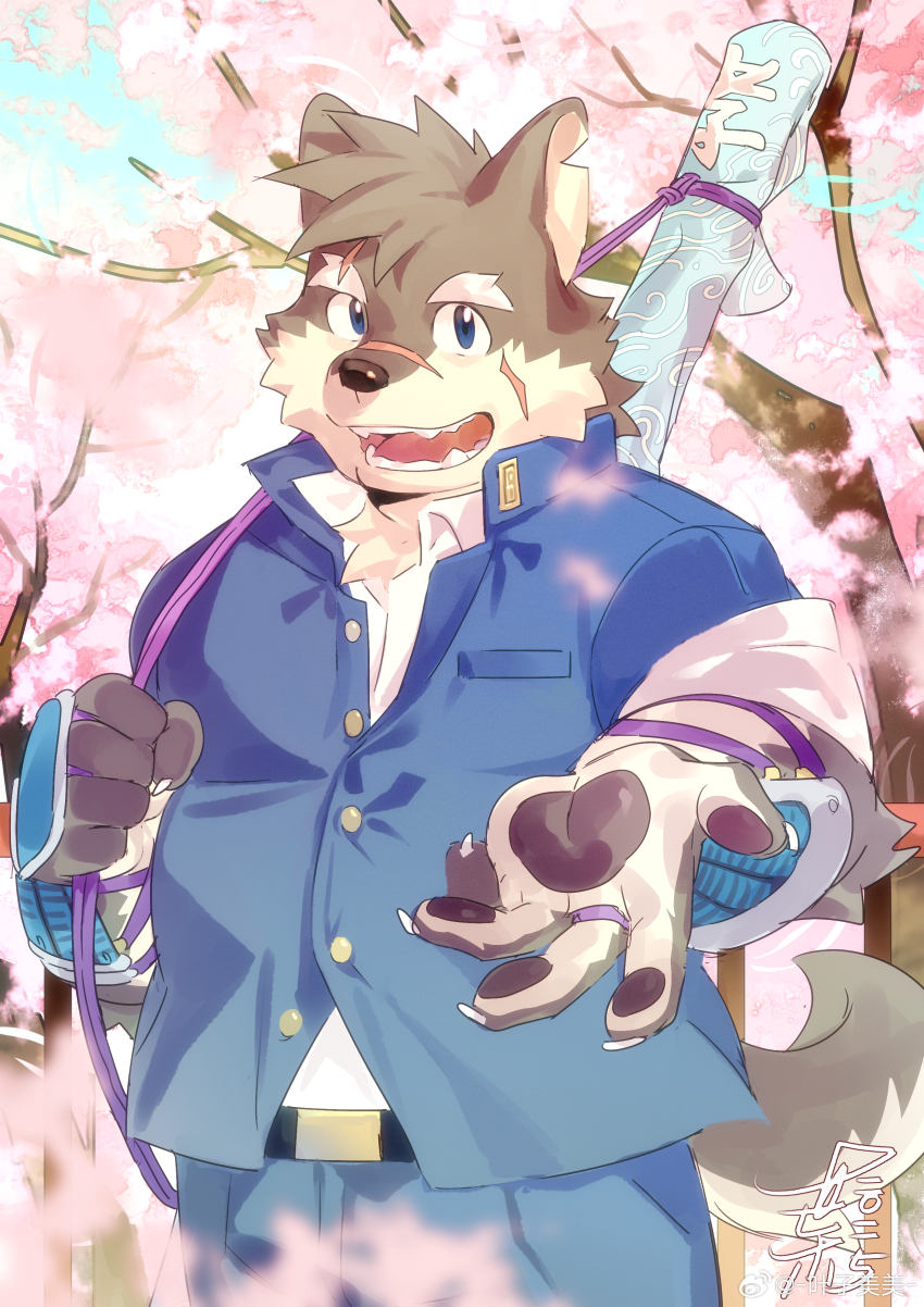1boy absurdres animal_ears brown_fur cherry_blossoms chinese_commentary claws commentary_request dog_boy dog_ears dog_nose dog_tail facial_scar furry furry_male gauntlets highres looking_at_viewer moritaka_(housamo) open_mouth pawpads scar scar_across_eyebrow scar_on_cheek scar_on_face scar_on_nose school_uniform sheath sheathed signature smile sword sword_on_back tail tokyo_houkago_summoners weapon weapon_on_back yan_tou_bu_xi_yan