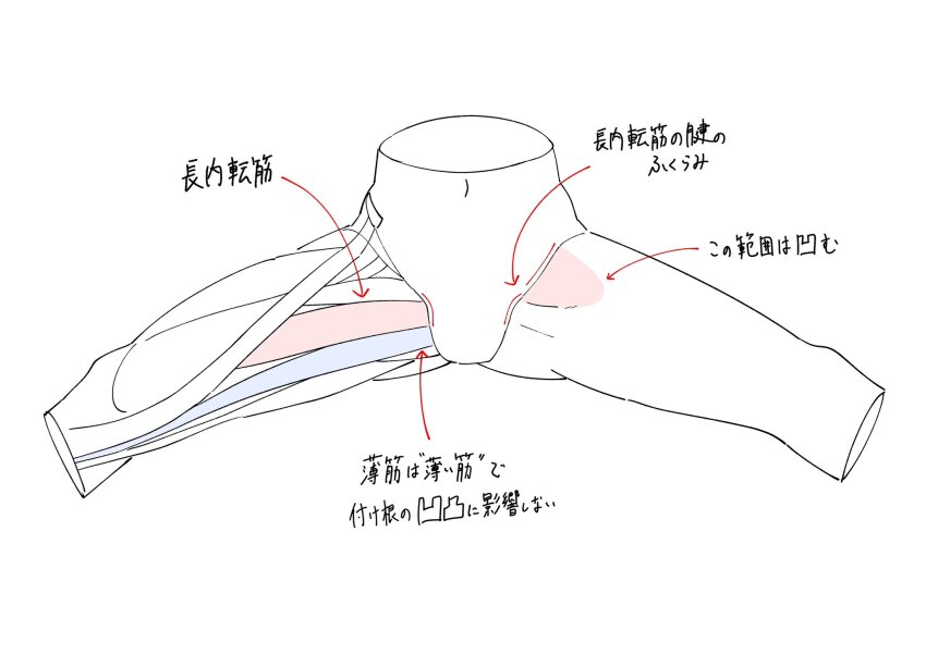 exposed_muscle guide highres how_to muscular original start_furuike white_background
