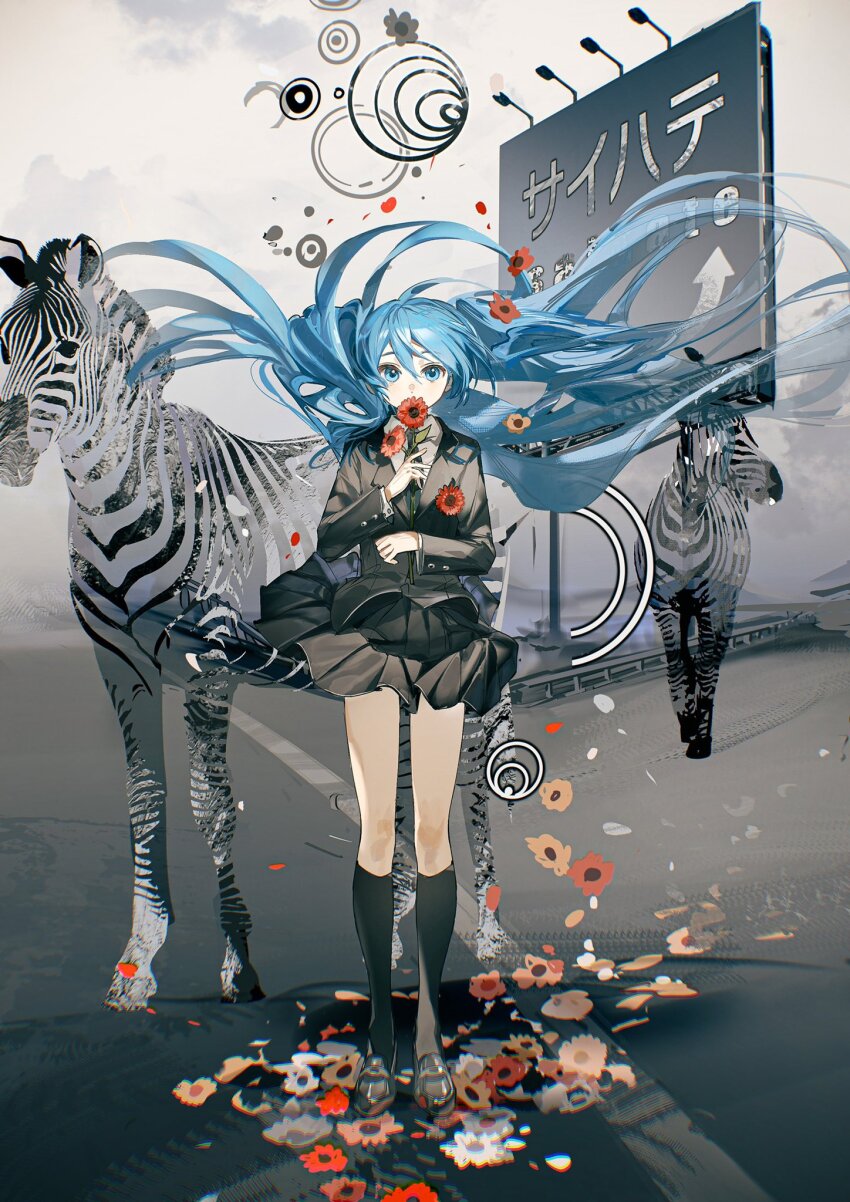 1girl animal aqua_eyes aqua_hair billboard black_footwear black_jacket black_skirt black_socks clothes_lift commentary covered_mouth english_text flower full_body hair_between_eyes hatsune_miku hatsune_miku_(saihate) highres holding holding_flower jacket kneehighs loafers long_hair looking_at_viewer pleated_skirt poppy_(flower) railing red_flower road_sign rumoon saihate_(vocaloid) shirt shoes sign skirt skirt_lift socks solo_focus song_name standing very_long_hair vocaloid white_flower white_shirt zebra