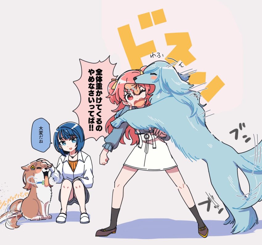2girls akita_inu animalization black_socks blue_eyes blue_hair blue_sweater blush borzoi brown_hair brown_shoes closed_eyes clover_ornament collared_shirt commentary_request dog fang flower frilled_sleeves frills full_body grey_shorts hair_flower hair_ornament hair_ribbon hanasato_minori highres hinomori_shizuku jewelry kiritani_haruka licking licking_another&#039;s_face long_hair looking_at_another momoi_airi more_more_jump!_(project_sekai) multiple_dogs multiple_girls necklace one_eye_closed petting pink_eyes pink_hair project_sekai ribbon sarariman114 shadow shirt shoes short_hair shorts sidelocks simple_background skirt socks speech_bubble squatting suspender_skirt suspenders sweater tail tail_wagging tongue tongue_out translation_request two_side_up white_shirt white_shoes white_skirt yellow_ribbon