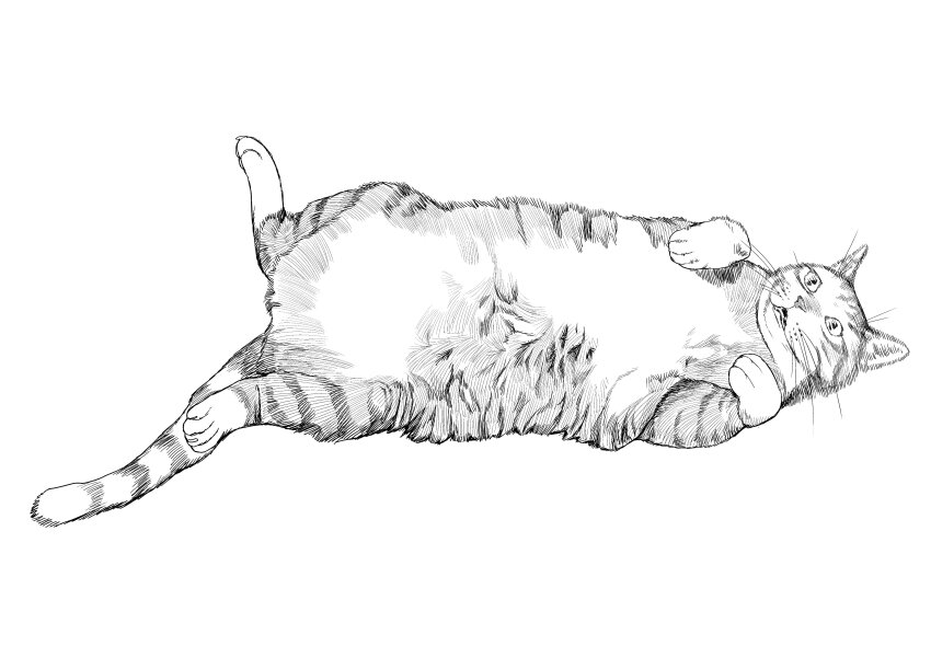 absurdres animal animal_focus cat commentary_request full_body greyscale highres korean_commentary looking_up lying monochrome no_humans on_back open_mouth original paw_up sat0_manga simple_background slit_pupils striped_fur tabby_cat teeth white_background