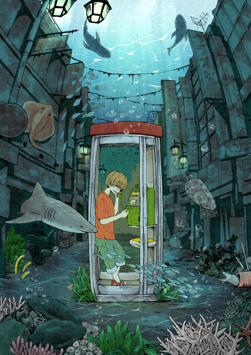 1boy absurdres air_bubble brown_hair bubble building commentary_request coral corded_phone eel fish green_pants hair_over_eyes highres holding holding_phone igetarou lamppost motor_vehicle motorcycle ocean original pants pants_rolled_up phone phone_booth red_footwear red_shirt scenery shark shirt short_hair short_sleeves sign standing stingray turtle underwater