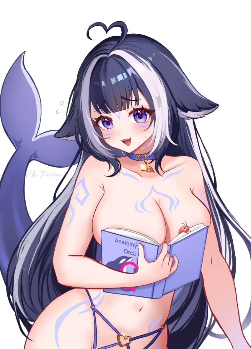 1girl :3 absurdres aki_hoshino black_hair blue_collar blue_eyes blush body_markings boobs_in_book_(meme) book breasts cetacean_tail collar facial_mark fangs fins fish_tail heart heart_o-ring highres holding holding_book indie_virtual_youtuber large_breasts long_hair looking_at_viewer meme multicolored_hair o-ring o-ring_bottom open_mouth orca_girl shylily simple_background smile solo streaked_hair tail teeth topless_female upper_teeth_only virtual_youtuber white_background white_hair
