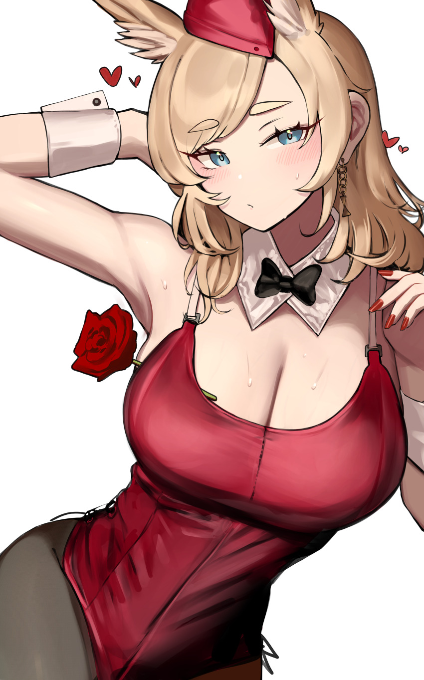 1girl 360_(taiyo360) absurdres alternate_costume animal_ears arknights arm_behind_back arm_up armpits bare_shoulders black_bow black_bowtie black_pantyhose blonde_hair blue_eyes blush bow bowtie breasts cleavage closed_mouth detached_collar earrings extra_ears fingernails flower garrison_cap hat heart highres horse_ears jewelry large_breasts leotard long_fingernails long_hair looking_at_viewer nail_polish no_tail pantyhose red_flower red_hat red_leotard red_nails red_rose rose simple_background solo swept_bangs traditional_bowtie whislash_(arknights) white_background wrist_cuffs