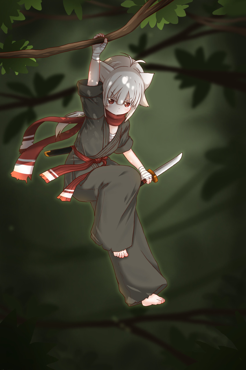 1girl absurdres animal_ears bandaged_hand bandages barefoot belt black_pants blurry blurry_background cat_ears cat_girl chinese_commentary commentary_request dagger dougi full_body hanging hanging_from_tree highres holding holding_dagger holding_knife holding_weapon knife kuma-bound long_hair low_ponytail martial_arts_belt ninja original outdoors pants ponytail red_belt red_eyes red_scarf scarf solo toes v-shaped_eyebrows weapon white_hair