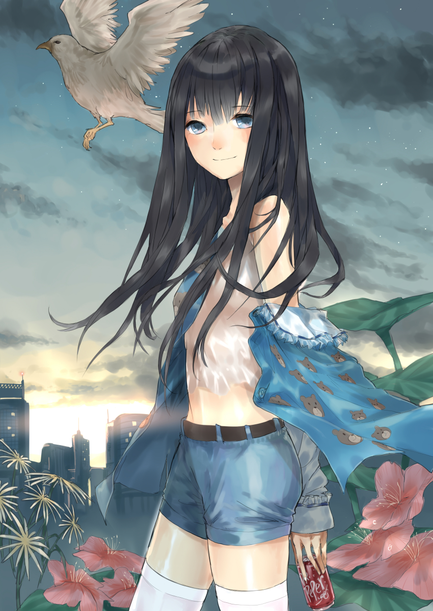 1girl absurdres bird black_hair blue_eyes camisole can dr_pepper drink_can female_focus flower highres kami-sama_no_memo-chou long_hair looking_at_viewer messikid midriff night night_sky off_shoulder profile shionji_yuuko shorts sidelocks sky smile soda_can solo standing sunset thighhighs white_thighhighs