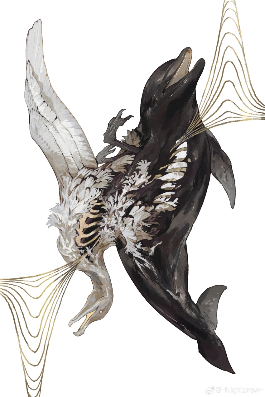 absurdres animal_focus bird chinese_commentary commentary_request conjoined dolphin feathers highres nightcrow no_humans original ribs shorts simple_background spread_wings upside-down vulture watermark weibo_watermark white_background