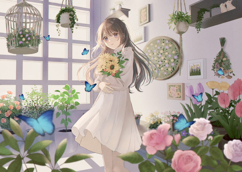 1girl absurdres baby&#039;s-breath birdcage blue_butterfly blue_eyes blunt_bangs blurry brown_hair bud bug butterfly buttons cabinet cage carnation corner depth_of_field dress expressionless feet_out_of_frame floating_hair flower flower_pot flower_request greenhouse hanging_flower hanging_plant high_collar highres holding holding_flower holly indoors insect lace-trimmed_collar lace_trim leaf long_dress long_hair long_sleeves looking_at_viewer orange_flower original parted_lips picture_frame pink_carnation pink_flower pink_rose pink_tulip plant pleated_dress potted_plant puffy_long_sleeves puffy_sleeves purple_flower purple_tulip rose ruruka_003 see-through_silhouette shelf sidelighting sidelocks simple_flower sleeve_cuffs solo standing straight_hair sunflower tulip two_side_up white_dress white_flower white_rose window window_shadow yellow_flower