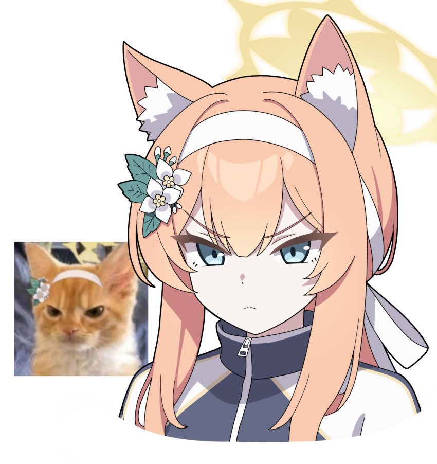 1girl absurdres animal_ear_fluff annoyed blue_archive blue_eyes cat cellphone_photo flower hair_flower hair_ornament hairband halo highres jacket long_hair looking_at_viewer mari_(blue_archive) mari_(track)_(blue_archive) official_alternate_costume orange_hair track_jacket vector_(dmlddmld00) white_hairband yellow_halo
