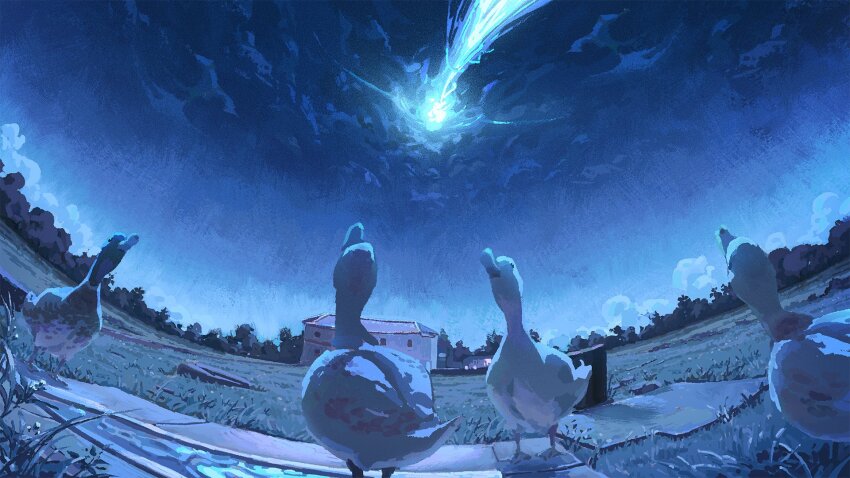 animal animal_focus bird blue_sky building cloud commentary duck ducks_looking_up_at_a_meteor_(meme) english_commentary fisheye grass highres house meme meteor night night_sky no_humans orenji_(orenjikunart) original outdoors scenery sky