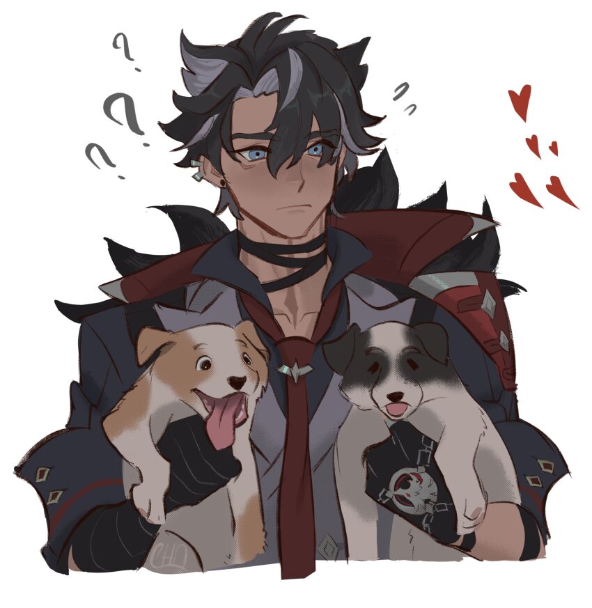 1boy ? ?? animal black_gloves black_hair blue_eyes chasticadushi commentary cropped_torso curtained_hair dog dual_wielding english_commentary genshin_impact gloves grey_hair hair_between_eyes hair_ears hair_over_eyes heart highres holding holding_animal holding_dog layered_clothes male_focus multicolored_hair necktie parted_hair piercing puppy red_necktie short_hair simple_background solo streaked_hair upper_body white_background wriothesley_(genshin_impact)