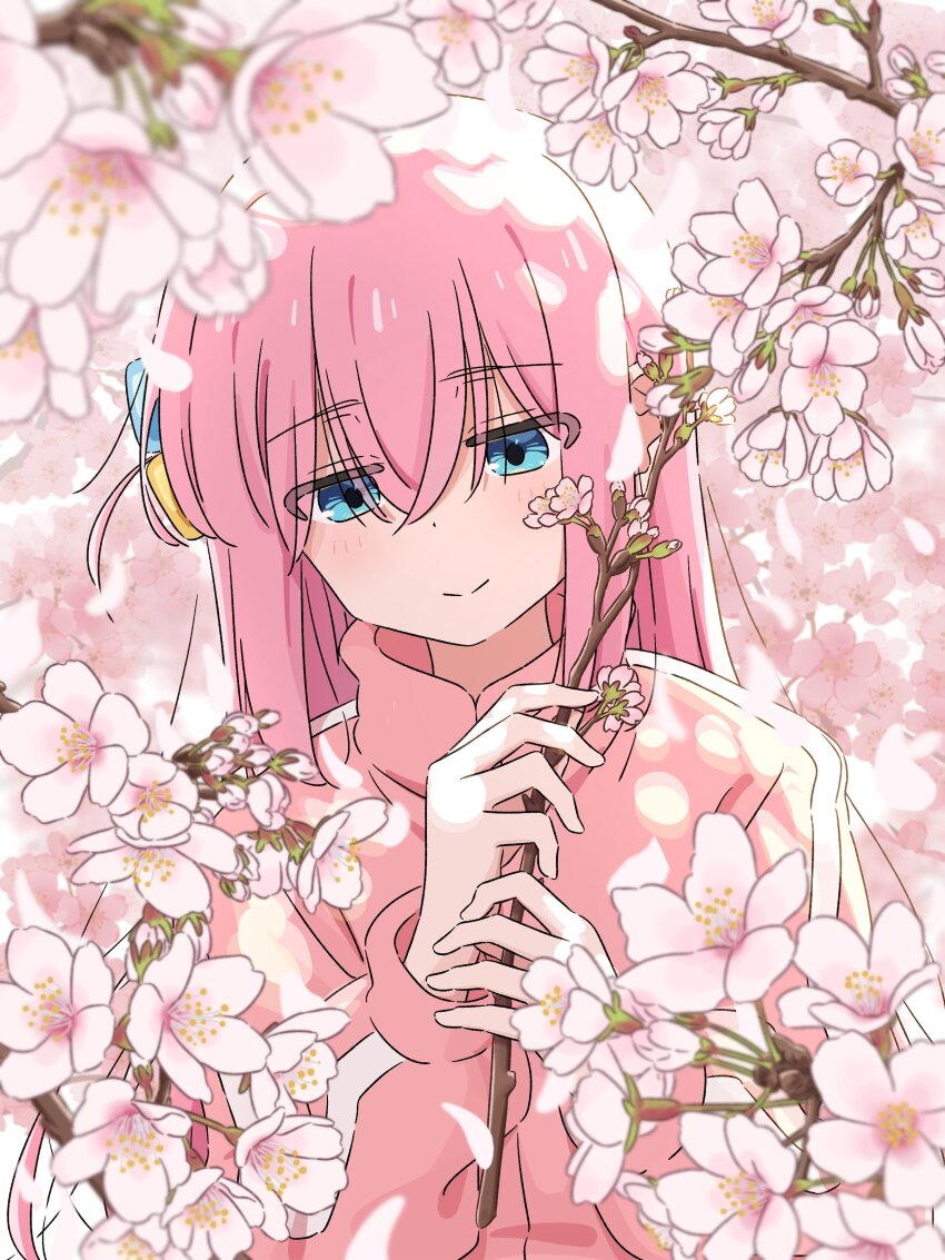 1girl absurdres blue_eyes blush bocchi_the_rock! cherry_blossoms closed_mouth commentary_request cube_hair_ornament flower gotoh_hitori hair_between_eyes hair_ornament hands_up highres holding holding_flower jacket long_hair long_sleeves looking_at_viewer mayo_(oekaki_bibbi) one_side_up pink_hair pink_jacket smile solo track_jacket upper_body