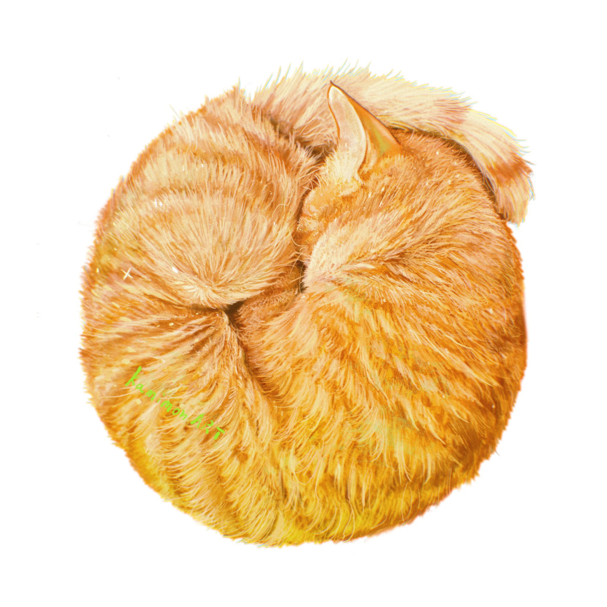 animal animal_focus artist_name cat commentary_request highres kamimon2016 no_humans orange_cat orange_fur original simple_background sleeping white_background