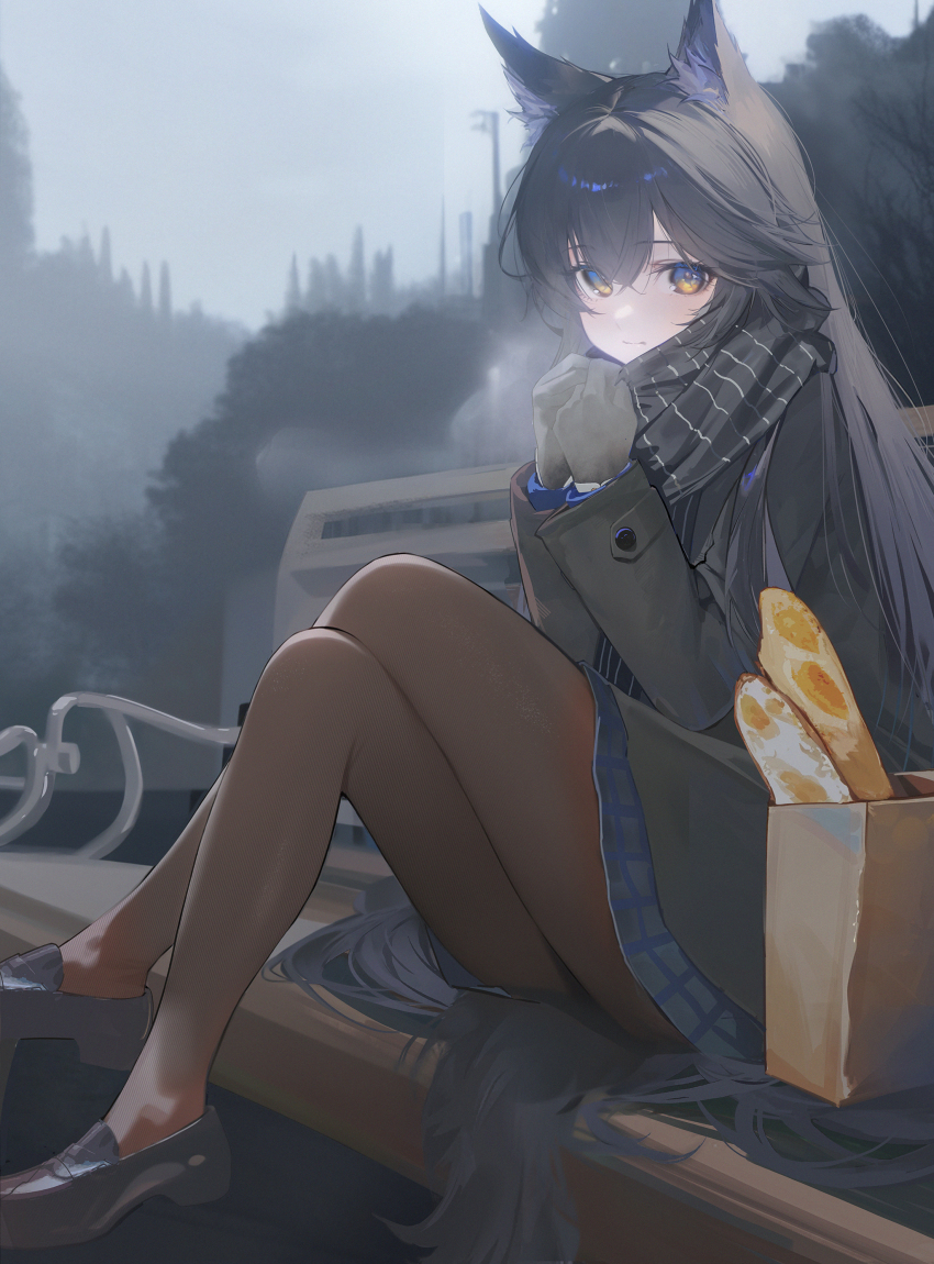 1girl absurdres alternate_costume animal_ear_fluff animal_ears arknights bag baguette bench black_gloves black_hair black_jacket black_pantyhose black_scarf black_shoes black_tail blue_eyes blue_skirt blurry blurry_background bread breath buttoned_cuffs buttons clear_sky closed_mouth cold crossed_bangs crossed_legs day depth_of_field drive_shot film_grain fog food from_side full_body gloves grey_sky grocery_bag hair_between_eyes hair_flowing_over hands_up highres jacket layered_sleeves legs legs_up loafers long_hair long_sleeves looking_at_viewer looking_to_the_side miniskirt multicolored_eyes on_bench orange_eyes outdoors own_hands_together pantyhose paper_bag plaid_clothes plaid_skirt revision scarf shiny_clothes shiny_legwear shoes shopping_bag sitting skirt sky solo straight_hair swept_bangs tail texas_(arknights) thighs two-tone_eyes very_long_hair wolf_ears wolf_girl wolf_tail