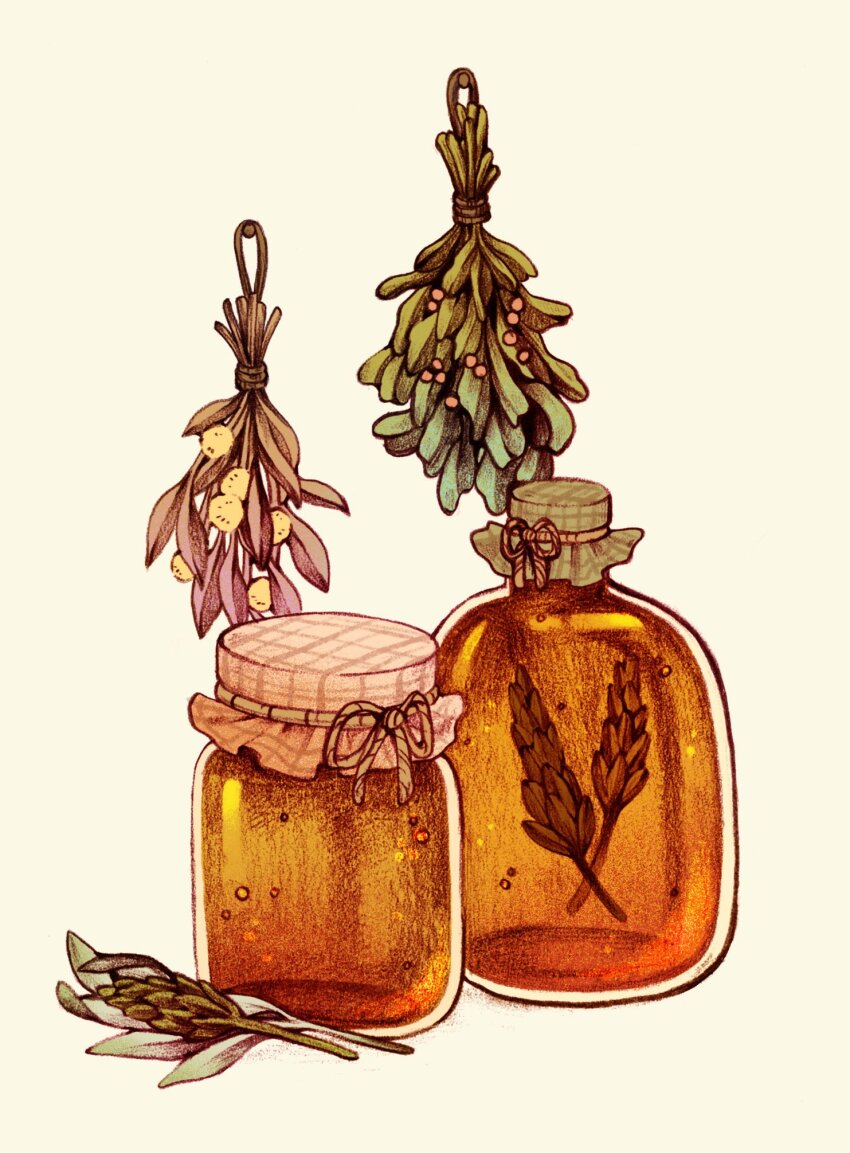 berry bow commentary english_commentary food food_focus herb herb_bundle highres honey jar leaf lianne_pflug no_humans object_focus original rope still_life traditional_media white_background