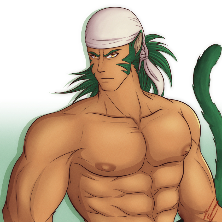 1boy abs animal_ears art_vtm bandana bara commentary fire_emblem fire_emblem:_path_of_radiance green_hair highres large_pectorals long_hair male_focus muarim_(fire_emblem) muscular muscular_male nintendo nipples pectorals signature simple_background solo tail upper_body