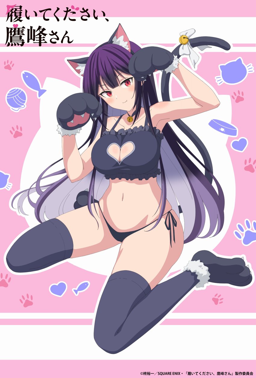 1girl absurdres animal_ear_fluff animal_ear_hairband animal_ears animal_hands bell black_bra black_panties black_thighhighs bra breasts cat_ear_hairband cat_ears cat_lingerie cat_tail cleavage_cutout closed_mouth clothing_cutout commentary_request copyright_name copyright_notice fake_animal_ears fake_tail full_body gloves hairband haite_kudasai_takamine-san heart_cutout highres jingle_bell large_breasts light_blush long_hair looking_at_viewer meme_attire navel neck_bell official_art outline panties paw_gloves paw_pose paw_print paw_print_background paw_shoes pink_background purple_hair red_eyes side-tie_panties sitting solo stomach tail takamine_takane thighhighs underwear wariza white_outline