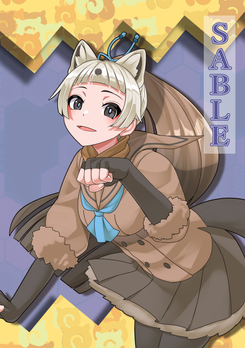 1girl absurdres animal_ears black_eyes blue_background brown_hair elbow_gloves extra_ears fingerless_gloves gloves grey_hair highres jacket japari_symbol kawanami_eito kemono_friends kemono_friends_3 long_hair looking_at_viewer multicolored_hair pantyhose ponytail ribbon sable_(kemono_friends) sailor_collar simple_background skirt solo tail two-tone_hair