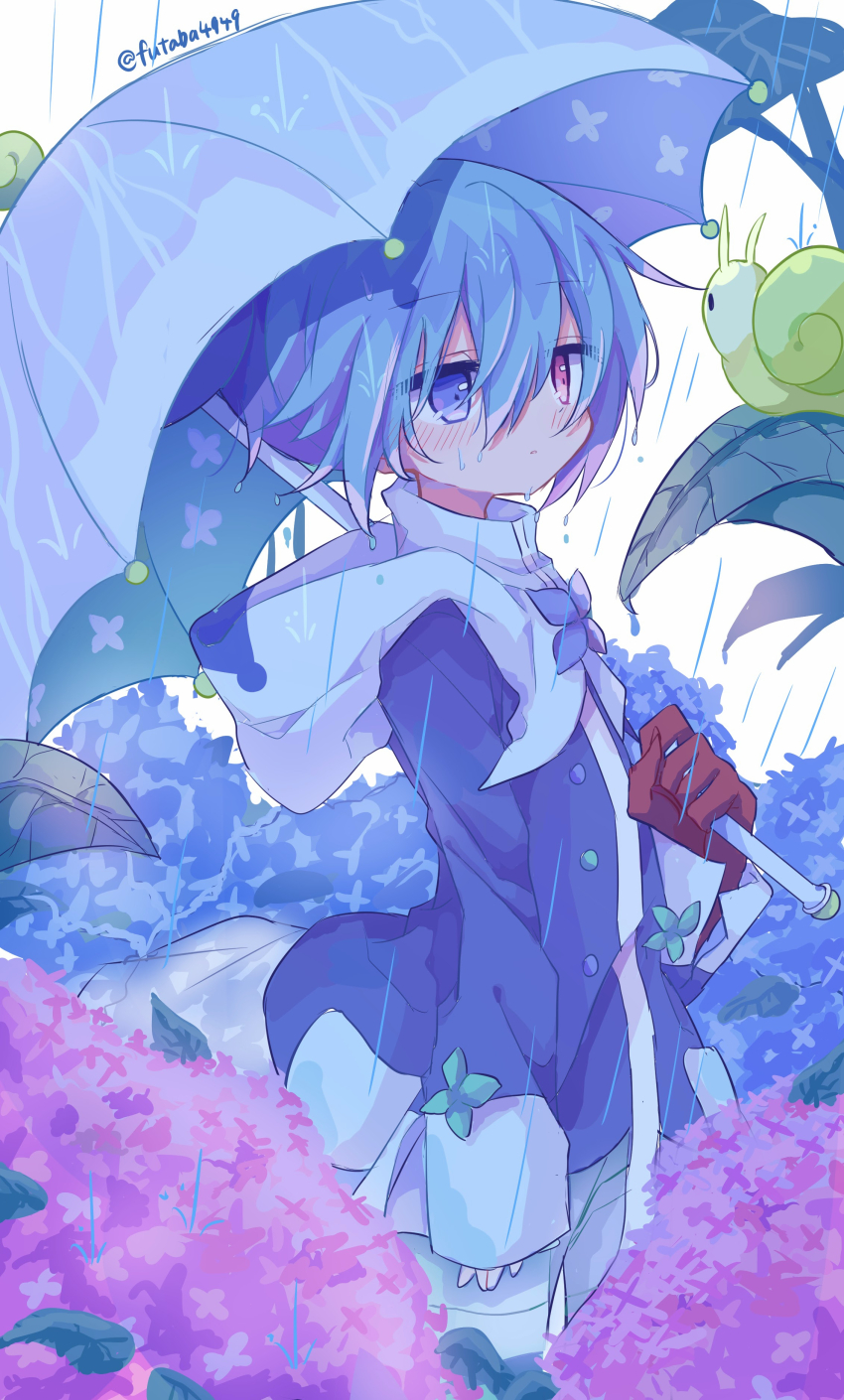1boy absurdres arm_at_side artist_name blue_eyes blue_flower blue_hair blue_jacket blush brooch cowboy_shot dot_nose flower flower_brooch futaba969649 hair_between_eyes hand_up heterochromia highres holding holding_umbrella hood hood_down hooded_jacket jacket long_sleeves looking_ahead male_focus multicolored_jacket official_alternate_costume outdoors over_shoulder pants parted_lips pink_flower puyopuyo puyopuyo_quest rain red_eyes short_hair sig_(puyopuyo) snail solo standing two-tone_jacket umbrella water_drop wet wet_hair white_background white_jacket white_pants wind