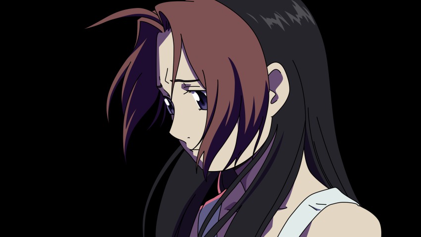 00s 1girl absurdres bare_shoulders brown_hair colored_bangs derivative_work female_focus fullmetal_alchemist grey_eyes highres long_hair multicolored_hair rose_thomas rose_tomas solo transparent transparent_background two-tone_hair vector_trace