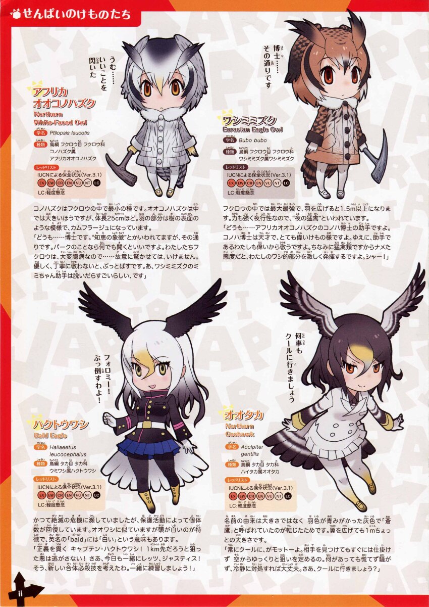 4girls absurdres bald_eagle_(kemono_friends) brown_hair eurasian_eagle_owl_(kemono_friends) full_body grey_hair highres kemono_friends looking_at_viewer multiple_girls northern_goshawk_(kemono_friends) northern_white-faced_owl_(kemono_friends) official_art simple_background yoshizaki_mine