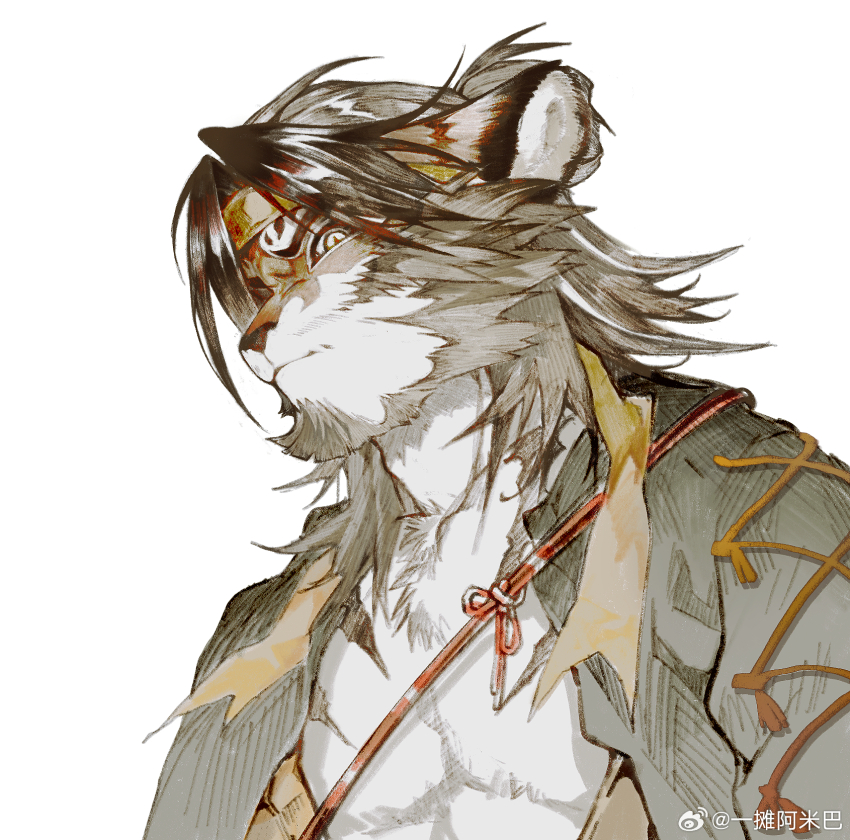 1boy animal_ears arknights chinese_commentary closed_mouth commentary_request furry furry_male headband highres huai_tianpei_(arknights) looking_at_viewer male_focus muscular muscular_male open_clothes open_shirt pectorals tiger_boy tiger_ears tiger_stripes upper_body watermark weibo_watermark white_background yellow_headband yi_tan_a_mi_ba