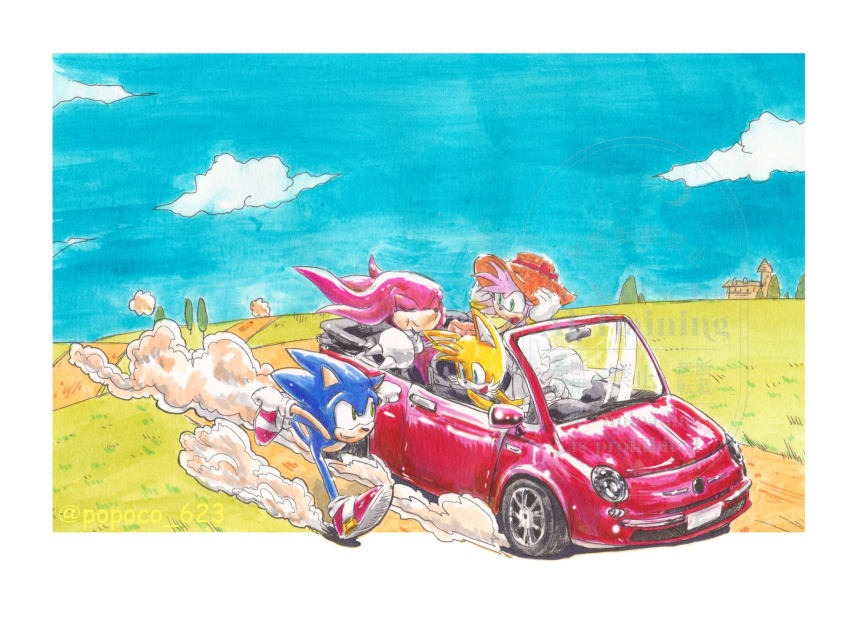 amy_rose blue_eyes blue_fur blue_hair car dress eating echidna_(animal) fox gloves grass green_eyes hat hedgehog highres knuckles_the_echidna motor_vehicle pink_fur pink_hair plain popoco_623 purple_eyes red_car red_fur red_hair running sega shoes sky smile socks sonic_(series) sonic_the_hedgehog tails_(sonic) tree trip yellow_fur