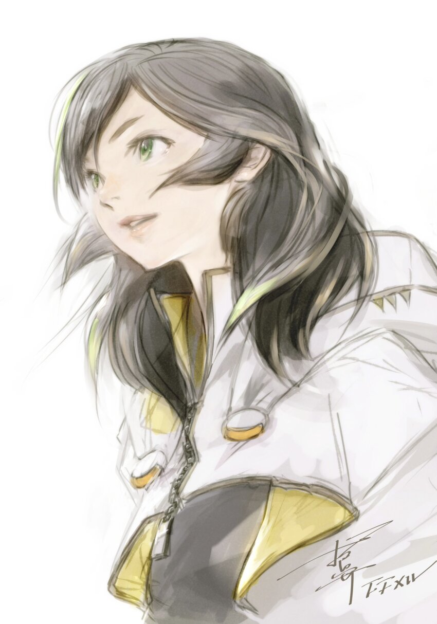 1girl brown_hair final_fantasy final_fantasy_xiv green_eyes green_streaks highres hood hood_down hyur itahana_toshiyuki looking_to_the_side parted_lips signature simple_background solo sphene_(ff14) upper_body