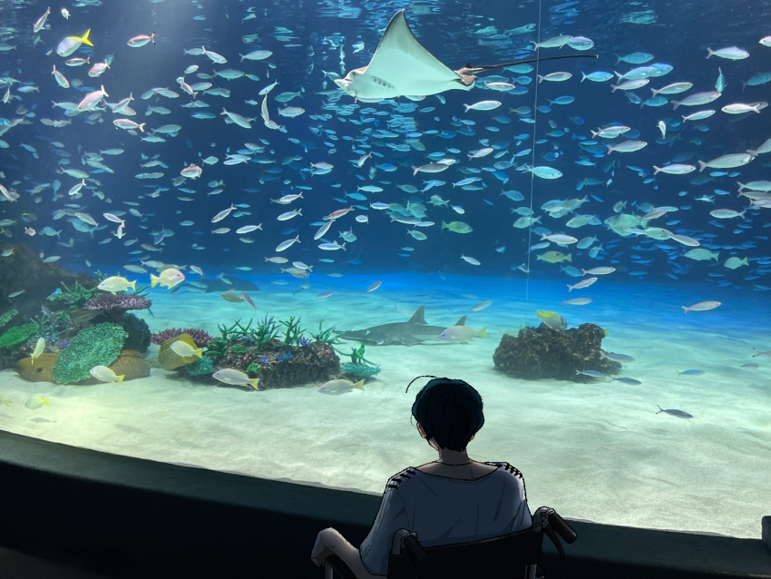 1boy aquarium backlighting blue_hair commentary_request coral_reef facing_away fish from_behind indoors maelo manta_ray meguriya_ayumu photo_background shirt short_hair toshi_densetsu_kaitai_center upper_body water wheelchair white_shirt
