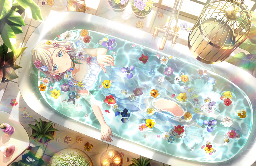 1girl aloe_(plant) baby&#039;s-breath barefoot bathtub birdcage blue_eyes blue_flower cage ceras_yanagida_lilienfeld choker collarbone daisy_(flower) dress_swimsuit flower flower_choker flower_request forget-me-not_(flower) frilled_one-piece_swimsuit frills from_above game_cg green_choker green_ribbon grey_hair hair_flower hair_intakes hair_ornament her-bath-rium highres in_bathtub indoors iris_(flower) knee_up link!_like!_love_live! long_hair looking_at_viewer love_live! nemophila_(flower) non-web_source official_alternate_costume official_art one-piece_swimsuit orange_flower orange_pansy pansy parted_lips partially_submerged pink_flower plant potted_plant purple_flower red_flower ribbon ribbon_choker solo swimsuit toes virtual_youtuber white_flower white_one-piece_swimsuit yellow_flower yellow_pansy