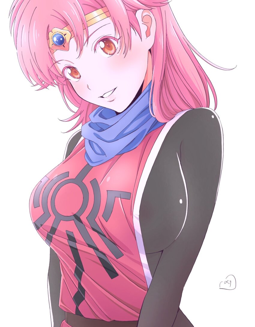 1girl blush breasts brown_eyes circlet dragon_quest dragon_quest_dai_no_daibouken highres large_breasts long_hair looking_at_viewer maam nori_(norimakigumo) pink_hair simple_background smile solo white_background