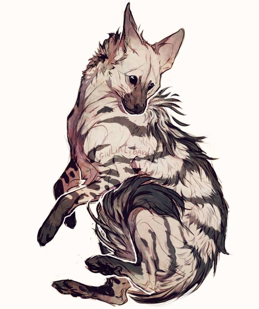 aardwolf animal animal_focus giulialibard highres hyena no_humans original pawpads realistic simple_background snout solo striped_fur white_background