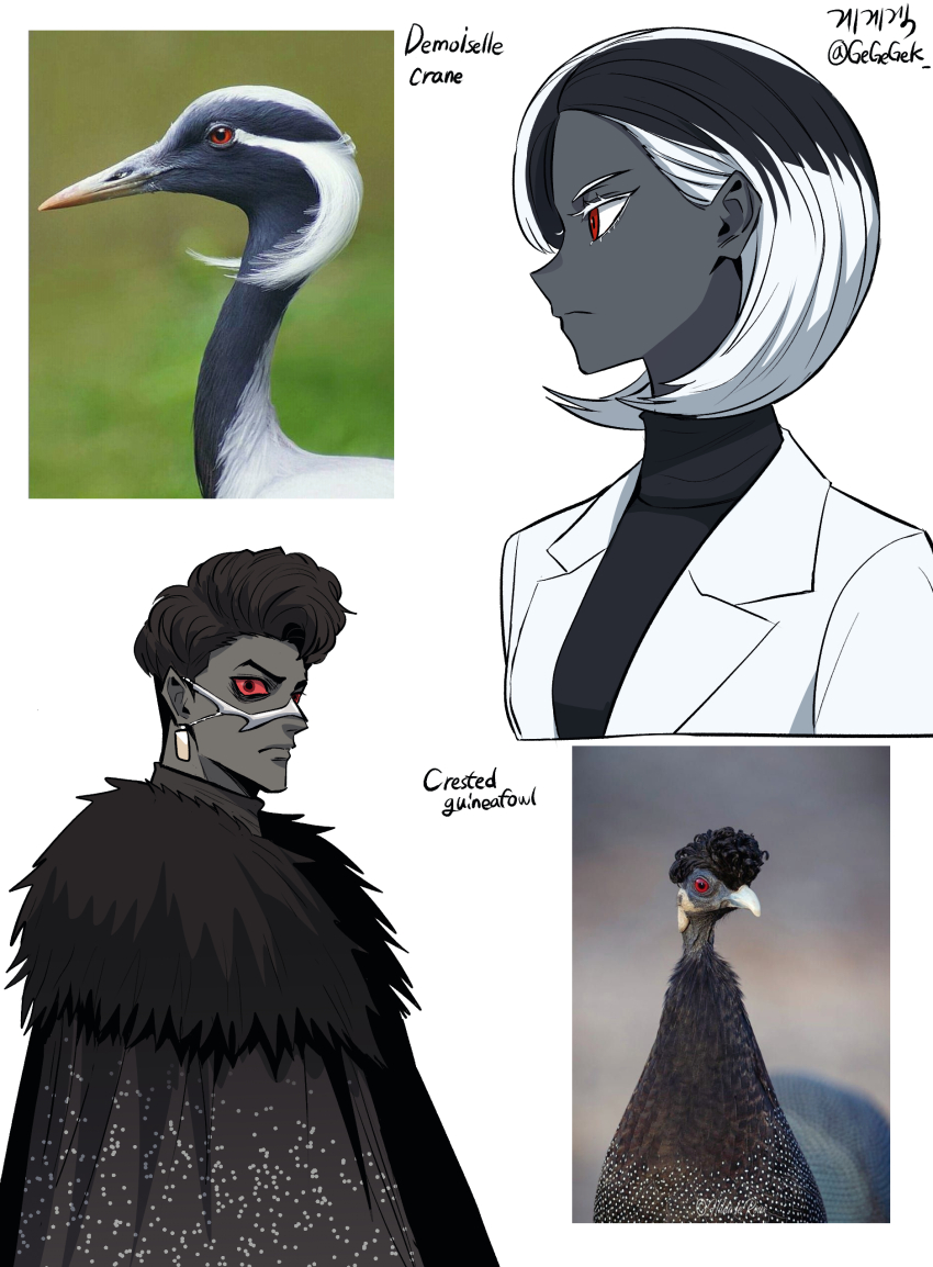 1boy 1girl absurdres artist_name bird bird_boy bird_girl black_cape black_fur black_hair black_skin black_sweater blazer bob_cut breasts cape closed_mouth colored_skin crane_(animal) creature_and_personification cropped_torso earrings eyelashes flipped_hair from_side fur-trimmed_cape fur_trim gegegekman highres jacket jawbone jewelry korean_text looking_afar looking_ahead looking_at_viewer looking_to_the_side mask multicolored_hair original pendant_earring personification photo-referenced red_eyes reference_inset sequins signature simple_background small_breasts standing sweater thick_eyebrows turtleneck turtleneck_sweater twitter_username two-tone_hair wavy_hair white_background white_hair white_jacket