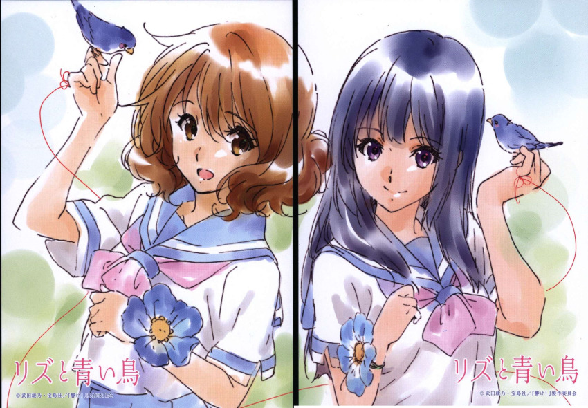 2girls animal arm_up bird blue_sailor_collar blue_skirt bluebird blush brown_eyes brown_hair closed_mouth hand_up hibike!_euphonium highres holding holding_animal holding_bird ikeda_shouko implied_yuri kitauji_high_school_uniform kousaka_reina liz_to_aoi_tori long_hair looking_at_viewer multiple_girls neckerchief official_art oumae_kumiko parted_lips pink_neckerchief pleated_skirt purple_eyes purple_hair sailor_collar scan school_uniform serafuku shirt short_hair short_sleeves skirt smile string string_of_fate white_shirt yuri